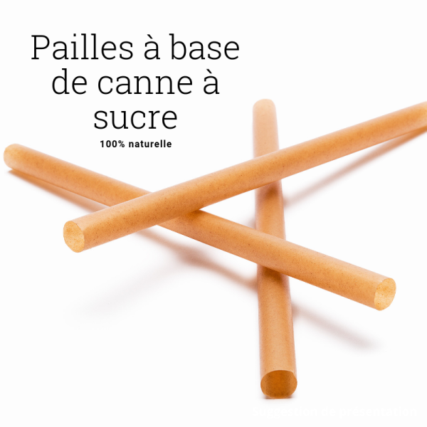 Pailles droites fibre de canne 21cm Dia. 8mm paquet de 300