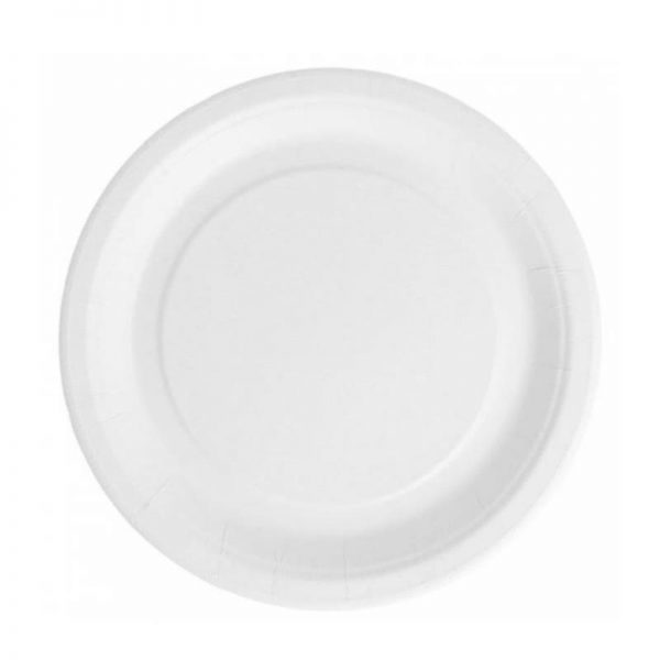 Carton de 400 Assiettes carton 100% biodegradables blanches 22cm
