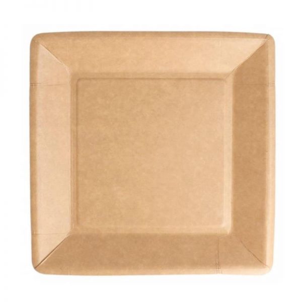Carton de 400 Assiettes carton 100% biodegradables naturel 18x18cm