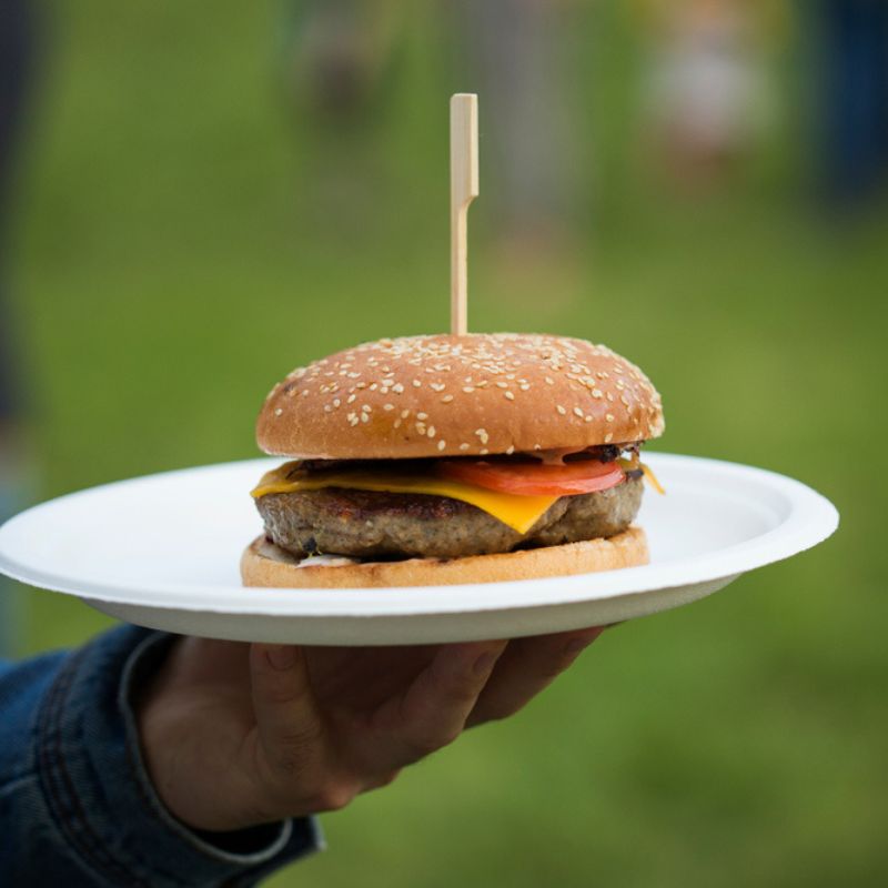 https://www.planeteprotect.com/wp-content/uploads/2021/01/assiette-bagasse-blanche.jpg