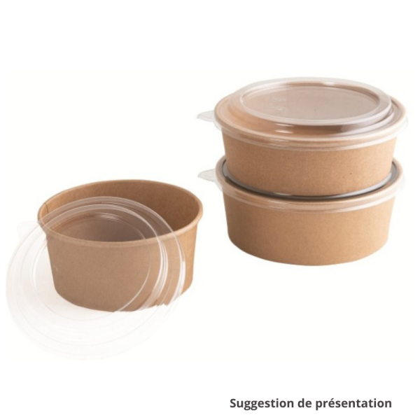 Carton de 300 Pot salade carton brun 500ml