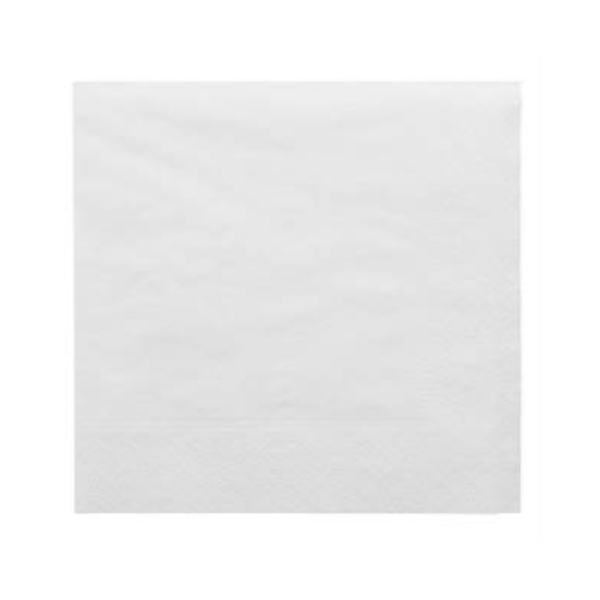 Serviette ouate 2 plis 30x30cm Ecolabel 2 plis blanche - 1 carton de 2400