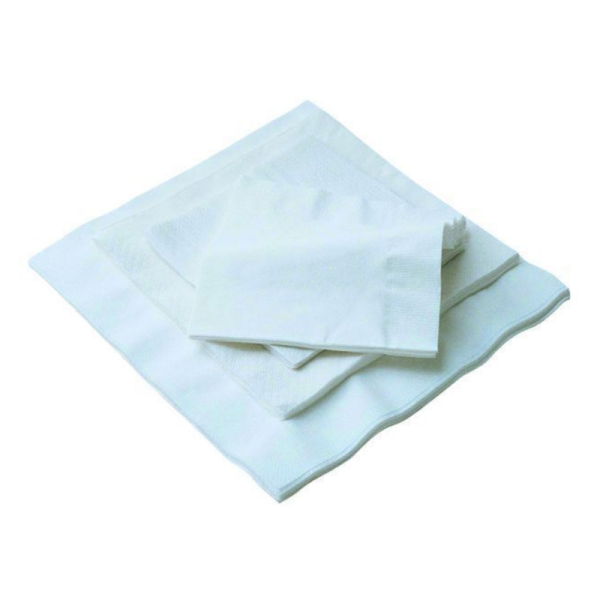 Serviette ouate 2 plis 30x30cm blanche - 1 carton de 4800