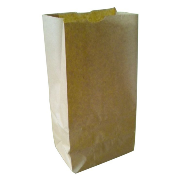 Sac SOS papier kraft brun 20x16x40cm - 1 carton de 500